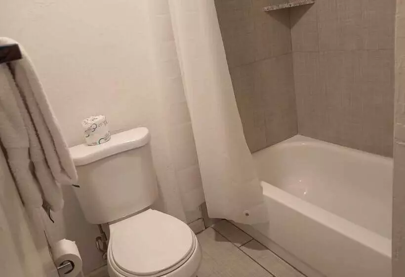 هتل Cedar Inn & Suites