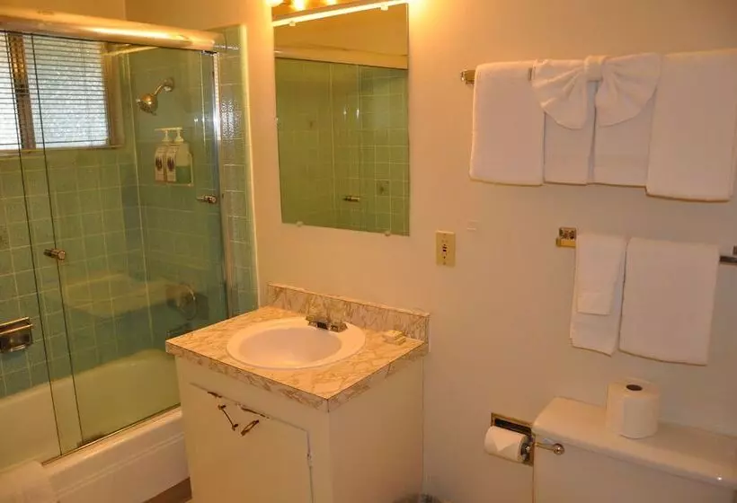 هتل Cedar Inn & Suites