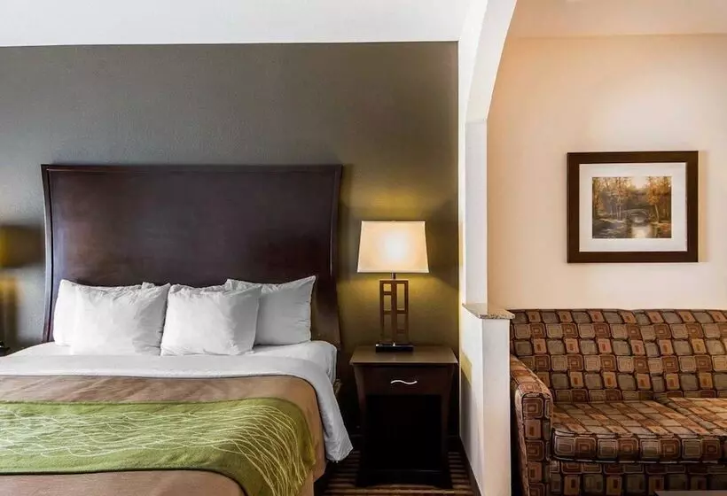 호텔 Comfort Inn & Suites