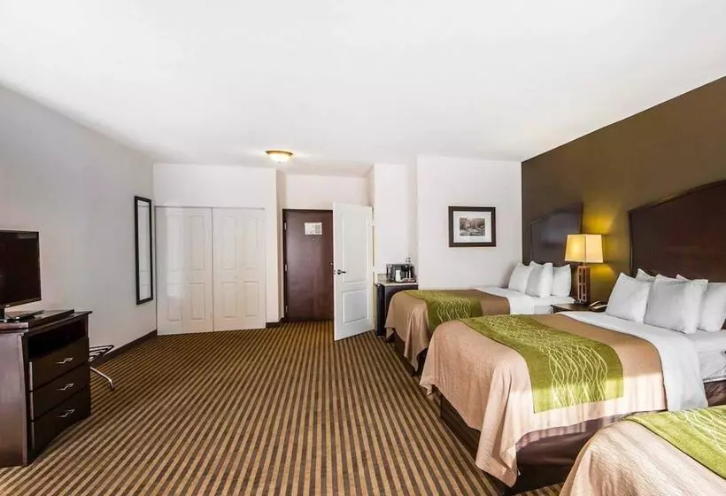 호텔 Comfort Inn & Suites