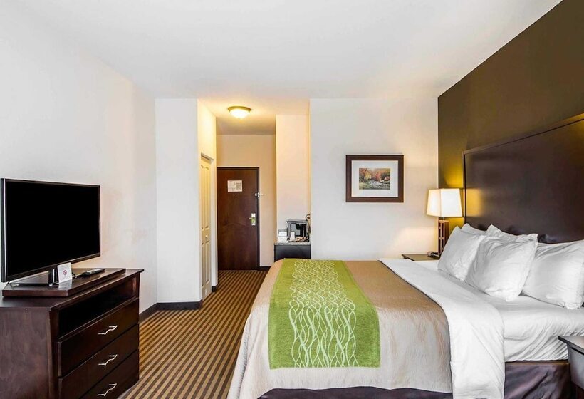 فندق Comfort Inn & Suites