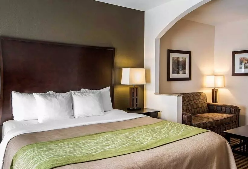 호텔 Comfort Inn & Suites