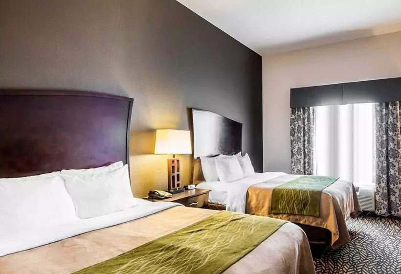 호텔 Comfort Inn & Suites