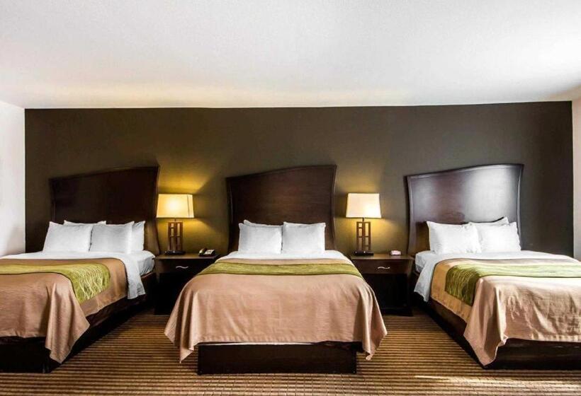 فندق Comfort Inn & Suites