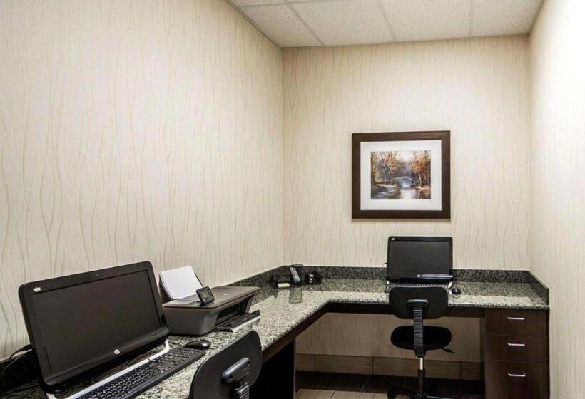 فندق Comfort Inn & Suites