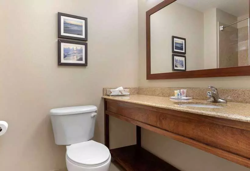 Отель Comfort Inn & Suites Port Arthurport Neches