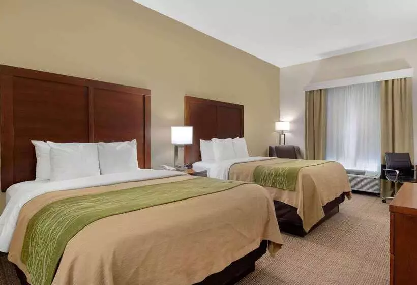 Отель Comfort Inn & Suites Port Arthurport Neches