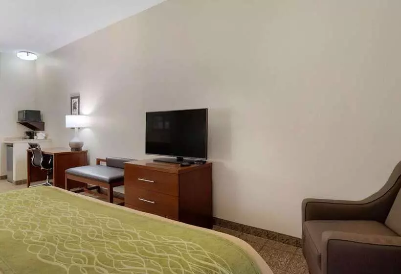 Отель Comfort Inn & Suites Port Arthurport Neches