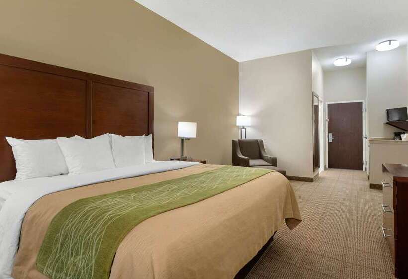 Szálloda Comfort Inn & Suites Port Arthurport Neches