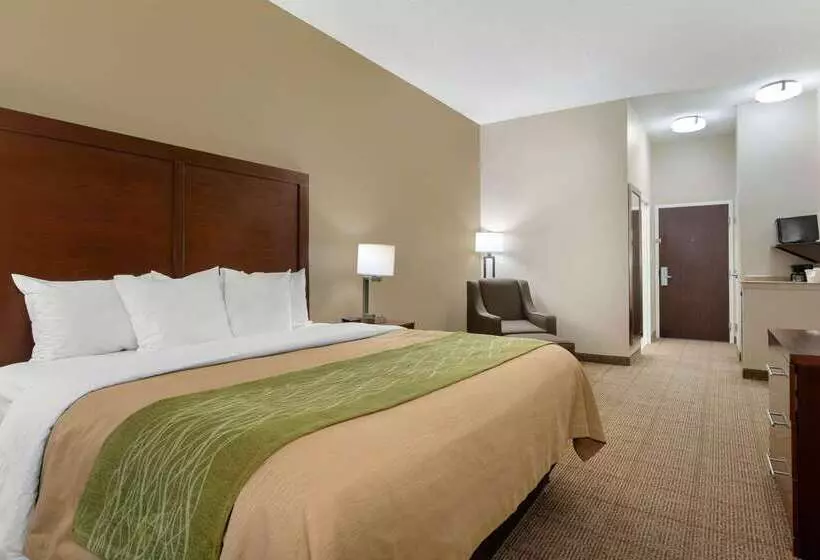 Отель Comfort Inn & Suites Port Arthurport Neches