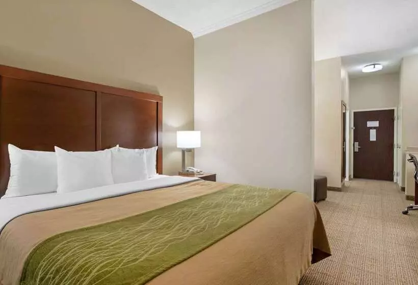 Отель Comfort Inn & Suites Port Arthurport Neches