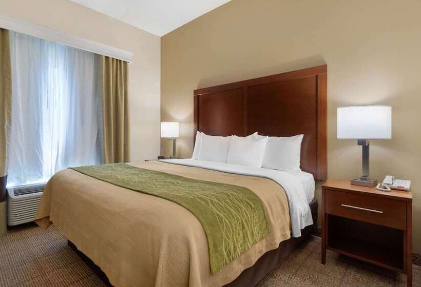 Szálloda Comfort Inn & Suites Port Arthurport Neches