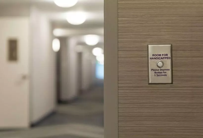 Otel Hilton Garden Inn Stony Brook