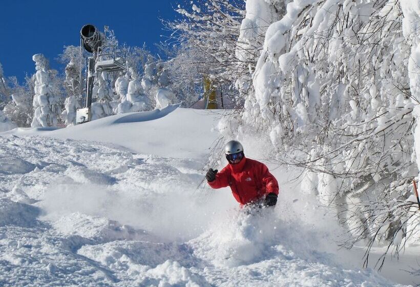 هتل The Inn At Snowshoe