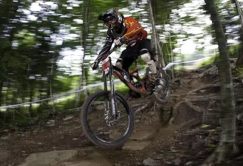 Отель The Inn At Snowshoe