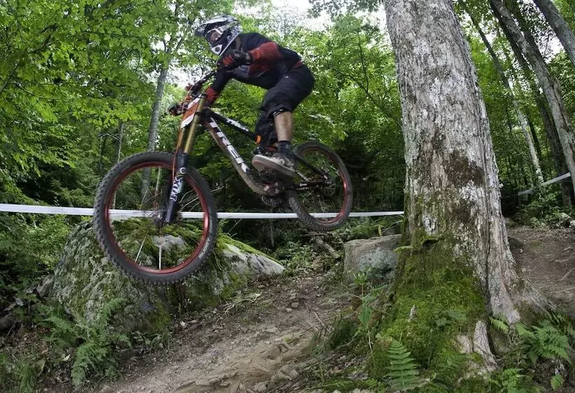 Отель The Inn At Snowshoe