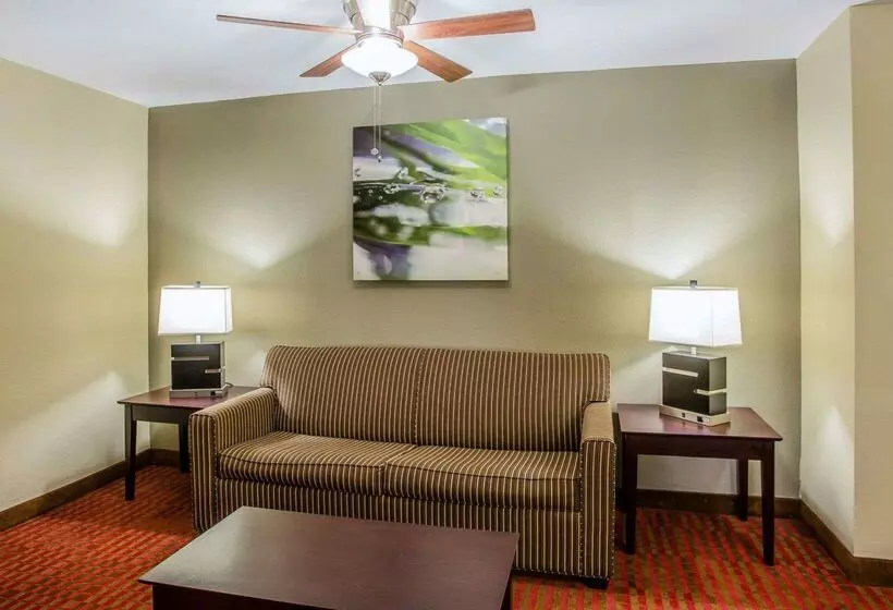 ホテル Quality Suites Nashville Airport
