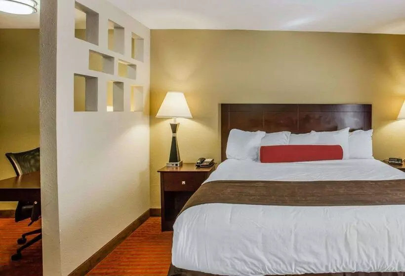 ホテル Quality Suites Nashville Airport