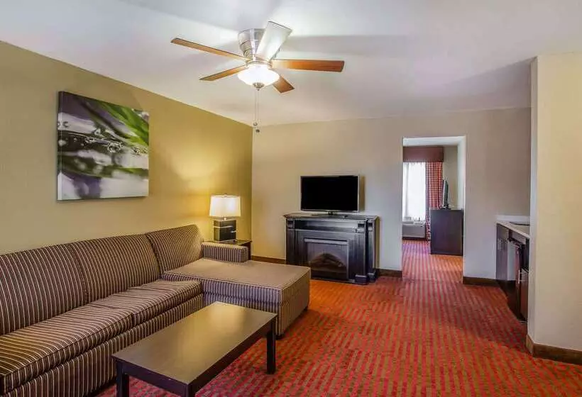 ホテル Quality Suites Nashville Airport
