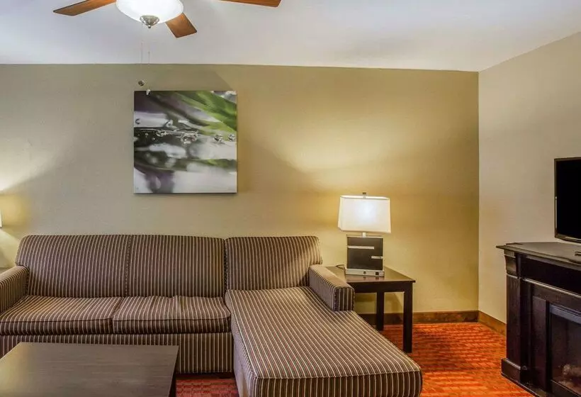 ホテル Quality Suites Nashville Airport