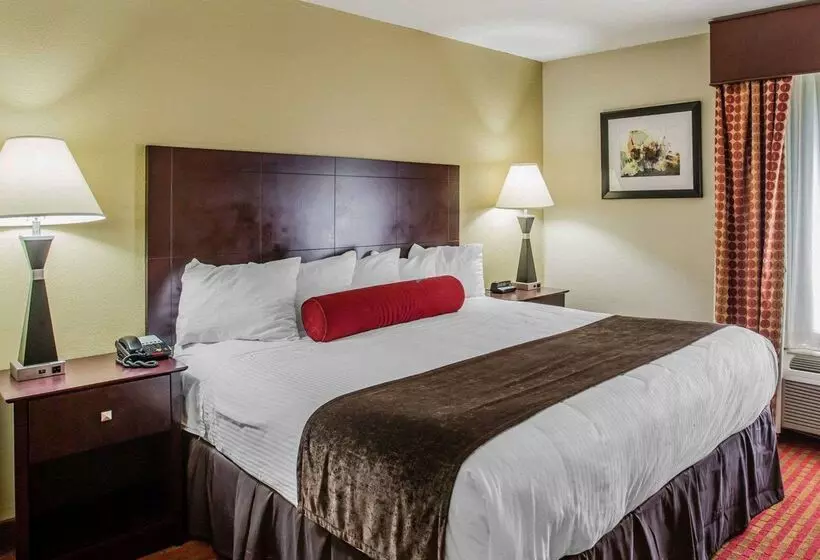 ホテル Quality Suites Nashville Airport