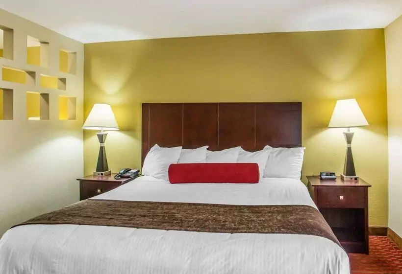 ホテル Quality Suites Nashville Airport