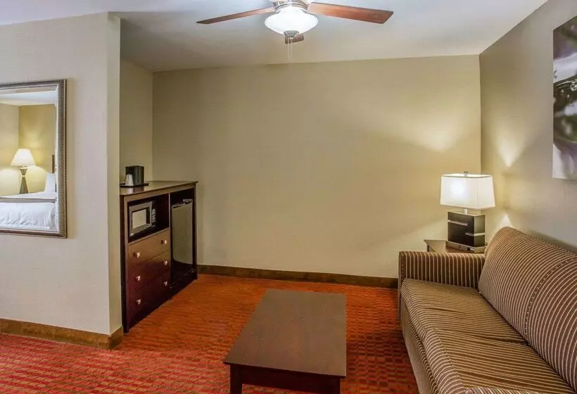 ホテル Quality Suites Nashville Airport