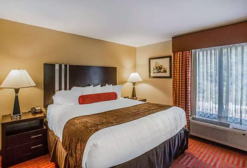 ホテル Quality Suites Nashville Airport