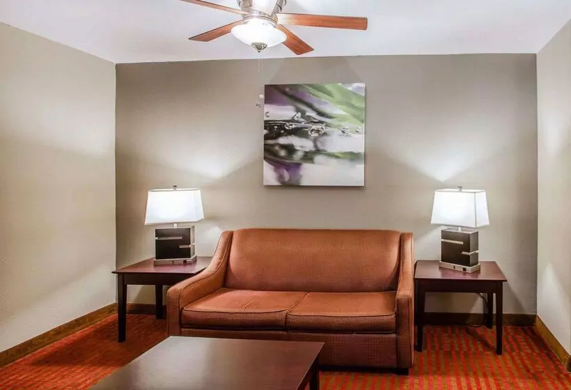 ホテル Quality Suites Nashville Airport