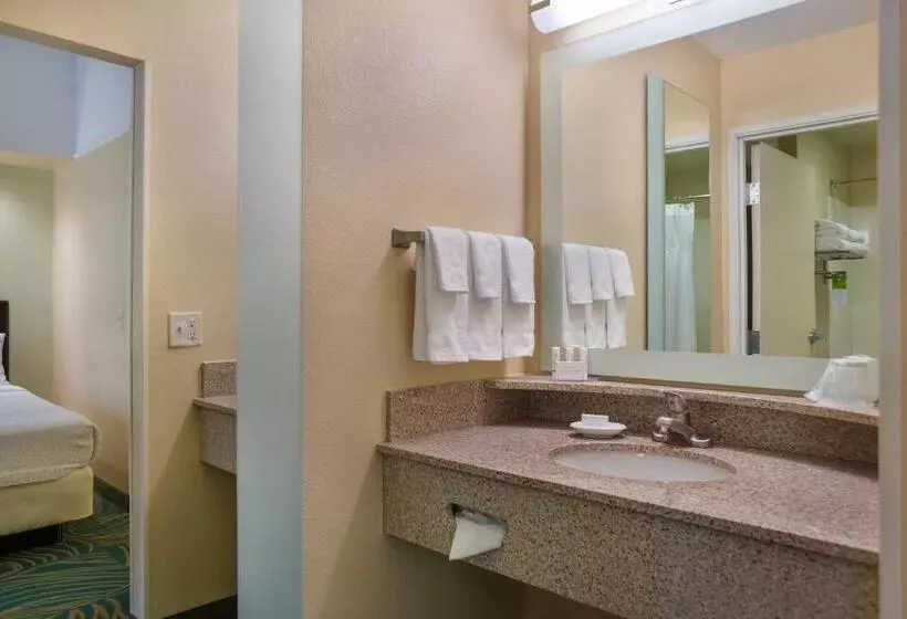 酒店 Springhill Suites St Petersburg Clearwater