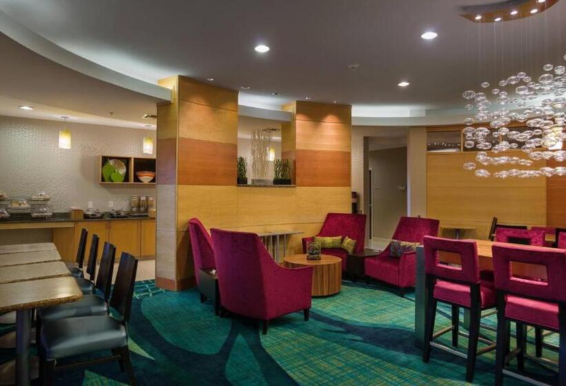 ホテル Springhill Suites St Petersburg Clearwater