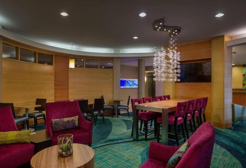 ホテル Springhill Suites St Petersburg Clearwater