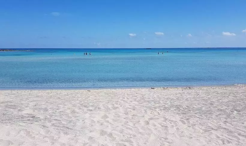 בית מלון כפרי Sunny Bay