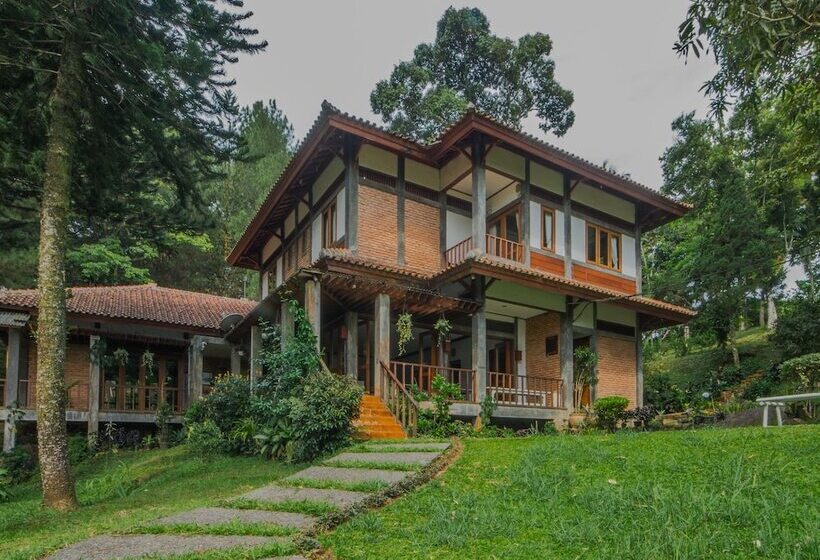 Pensão Griya Dunamis By Sabda