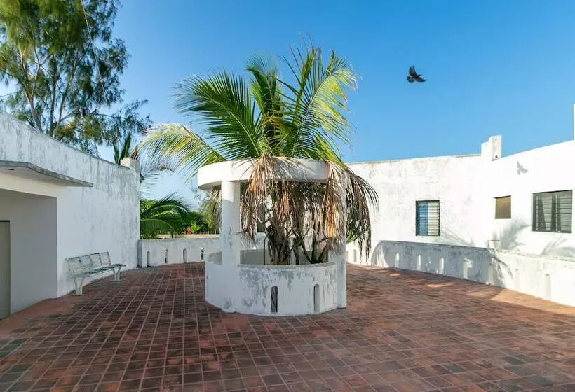 هتل African Dada Resort And Spa