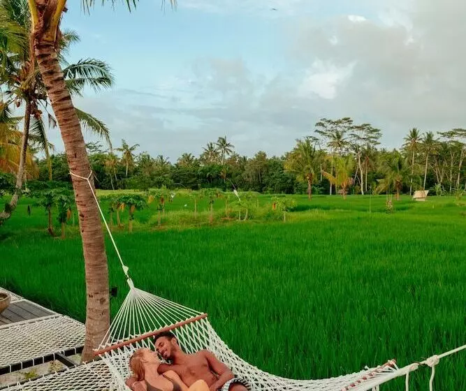 Hotel Podpadi Design Spaces