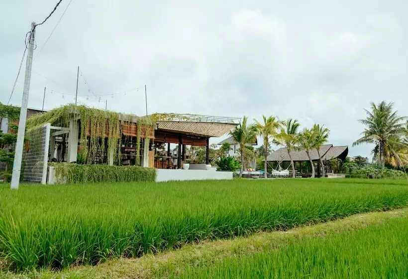 Hotel Podpadi Design Spaces