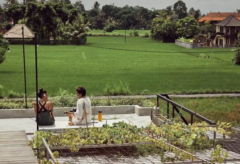 Hotel Podpadi Design Spaces