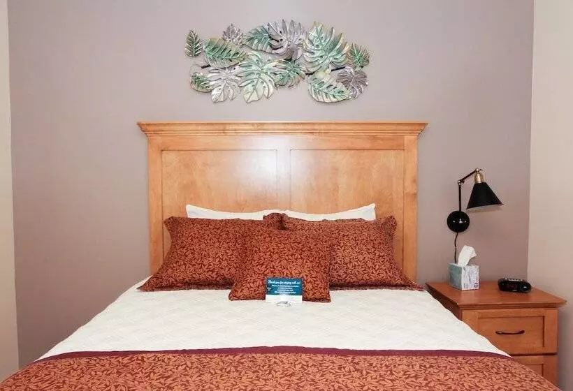 ホテル Affordable Suites Of America Lynchburg