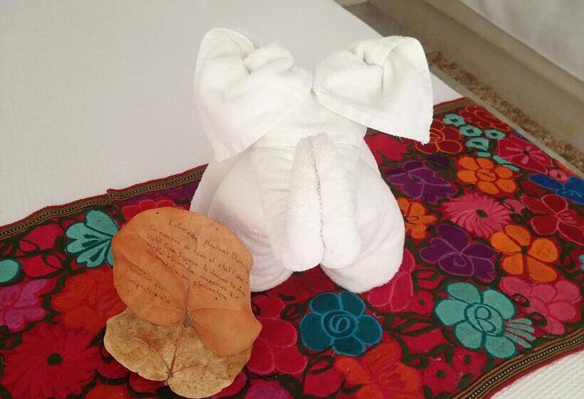 Hôtel Casa Iguana Holbox   Beachfront