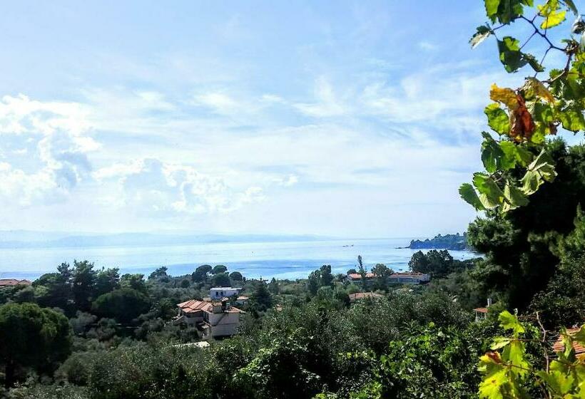 호텔 Manos Studios