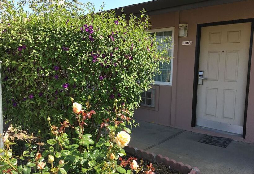 酒店 Maple Inn And Suites Los Banos