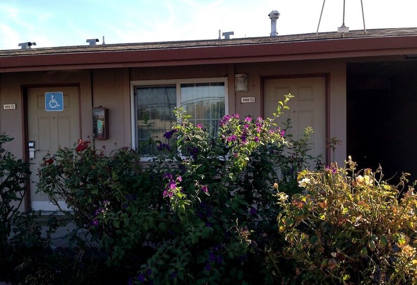 酒店 Maple Inn And Suites Los Banos