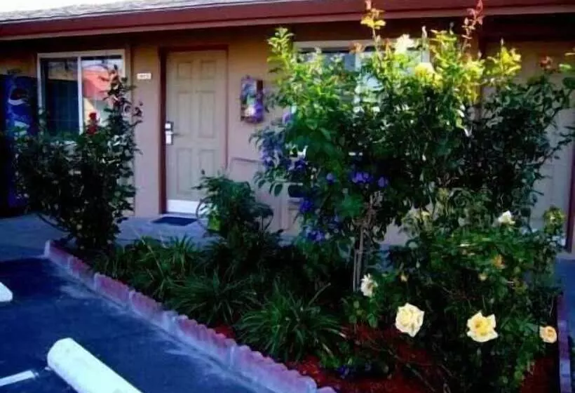 酒店 Maple Inn And Suites Los Banos