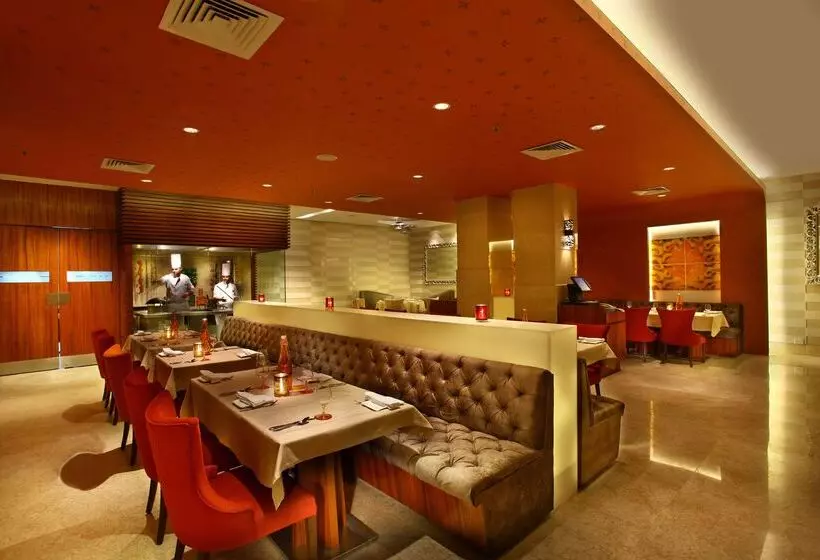 هتل Park Plaza Shahdara