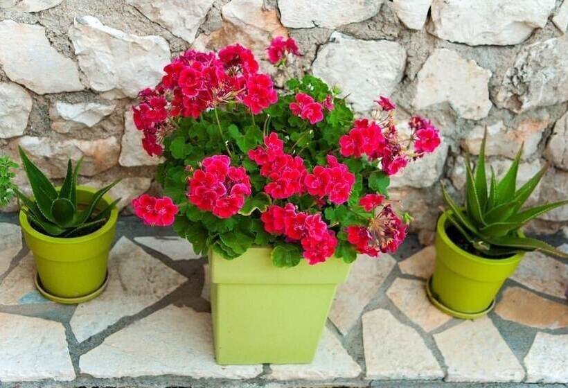 בית מלון כפרי San Lazzaro