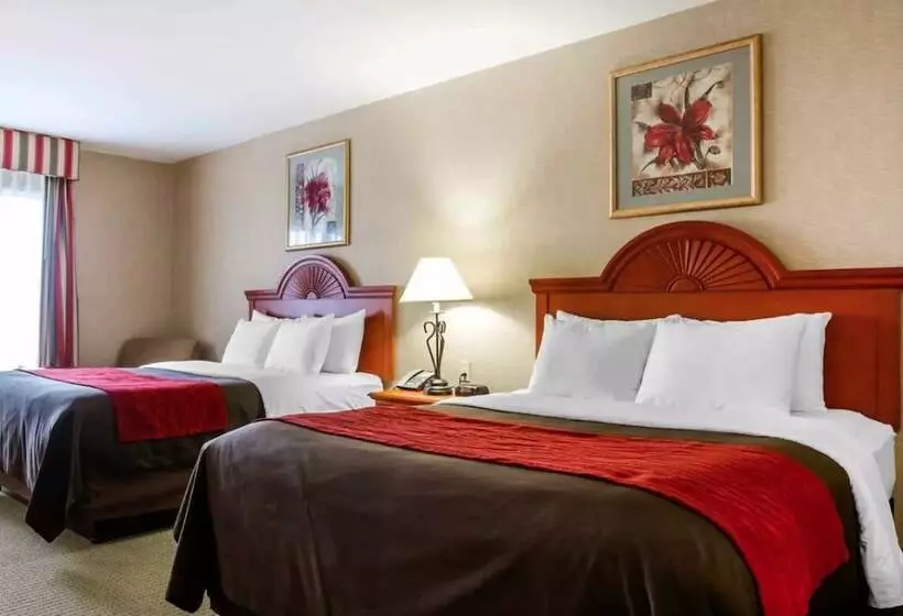 Akwesasne Mohawk Casino Resort And Players Inn Hotel  Formerly Comfort Inn And Suites Hogansburg Ny