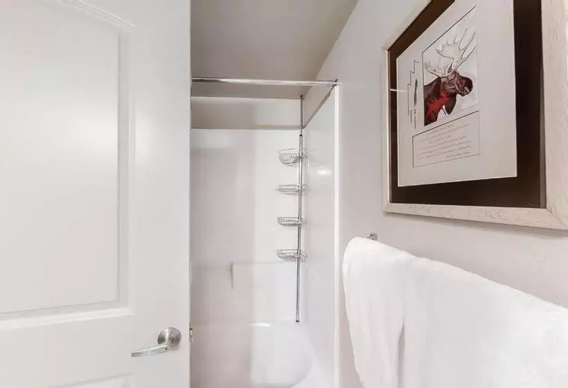 First Tracks By Steamboat Resorts