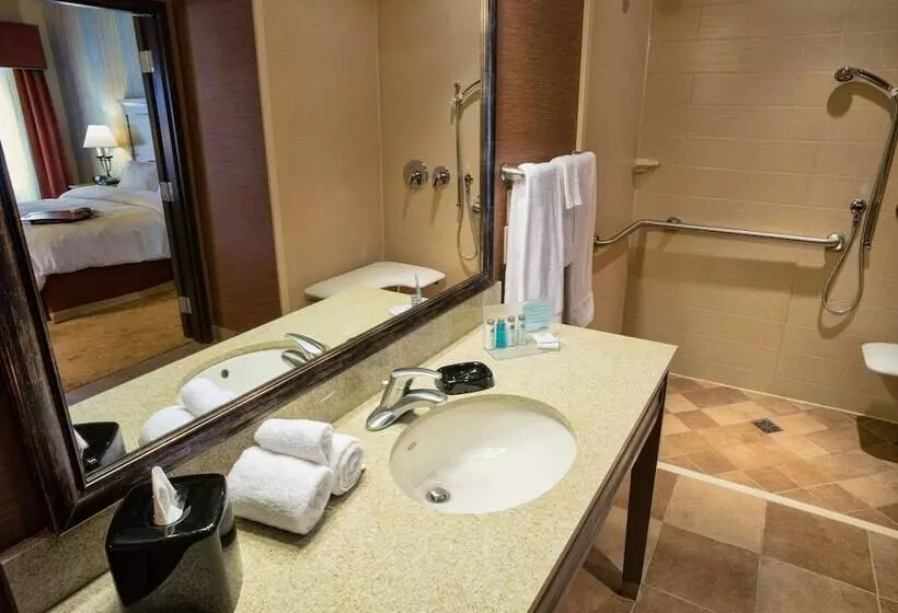 Hampton Inn & Suites Springdale/zion National Park