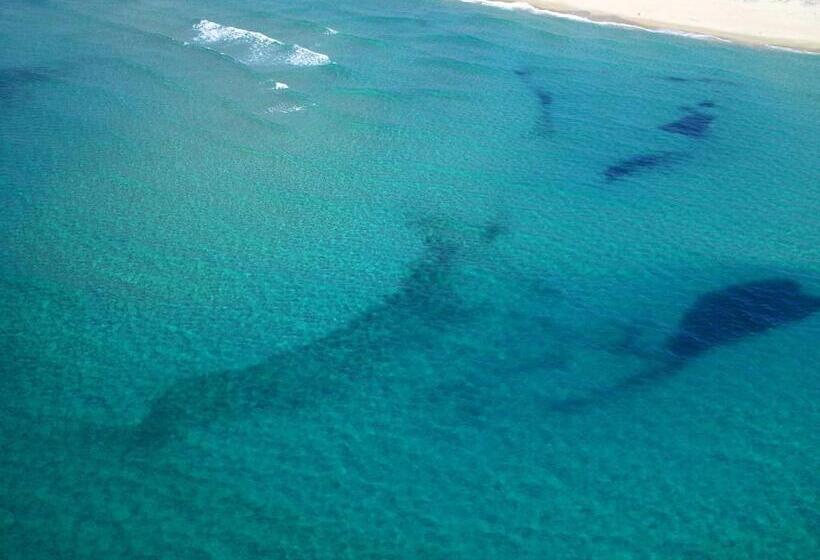 בית מלון כפרי Abbaidda